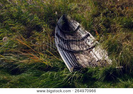 Old Wooden Rowing Boat Lying In The Bushes