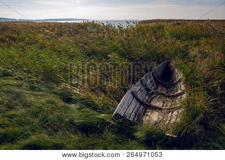 Old Wooden Rowing Boat Lying In The Bushes
