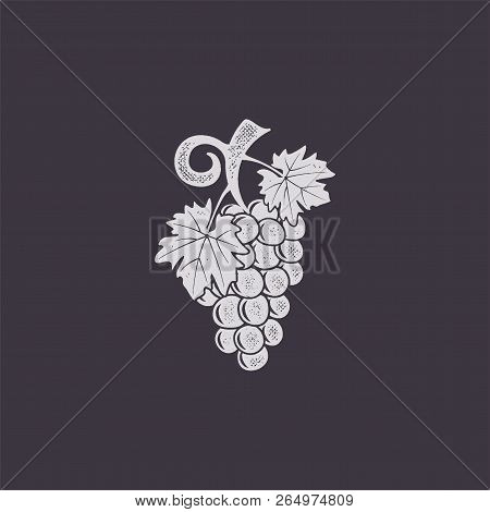 Vintage Jand-drawn Grape Icon. Retro Design. Friut Symbol For Logo, Label Or Badge. Stock Vector Ill