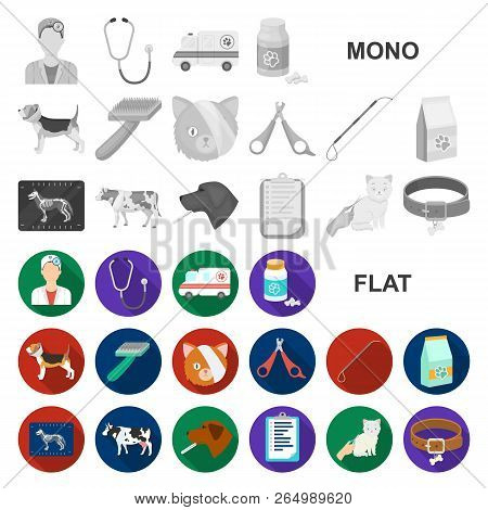 Veterinary Clinic Flat Icons In Set Collection For Design. Treatment Of A Pet Vector Symbol Stock We