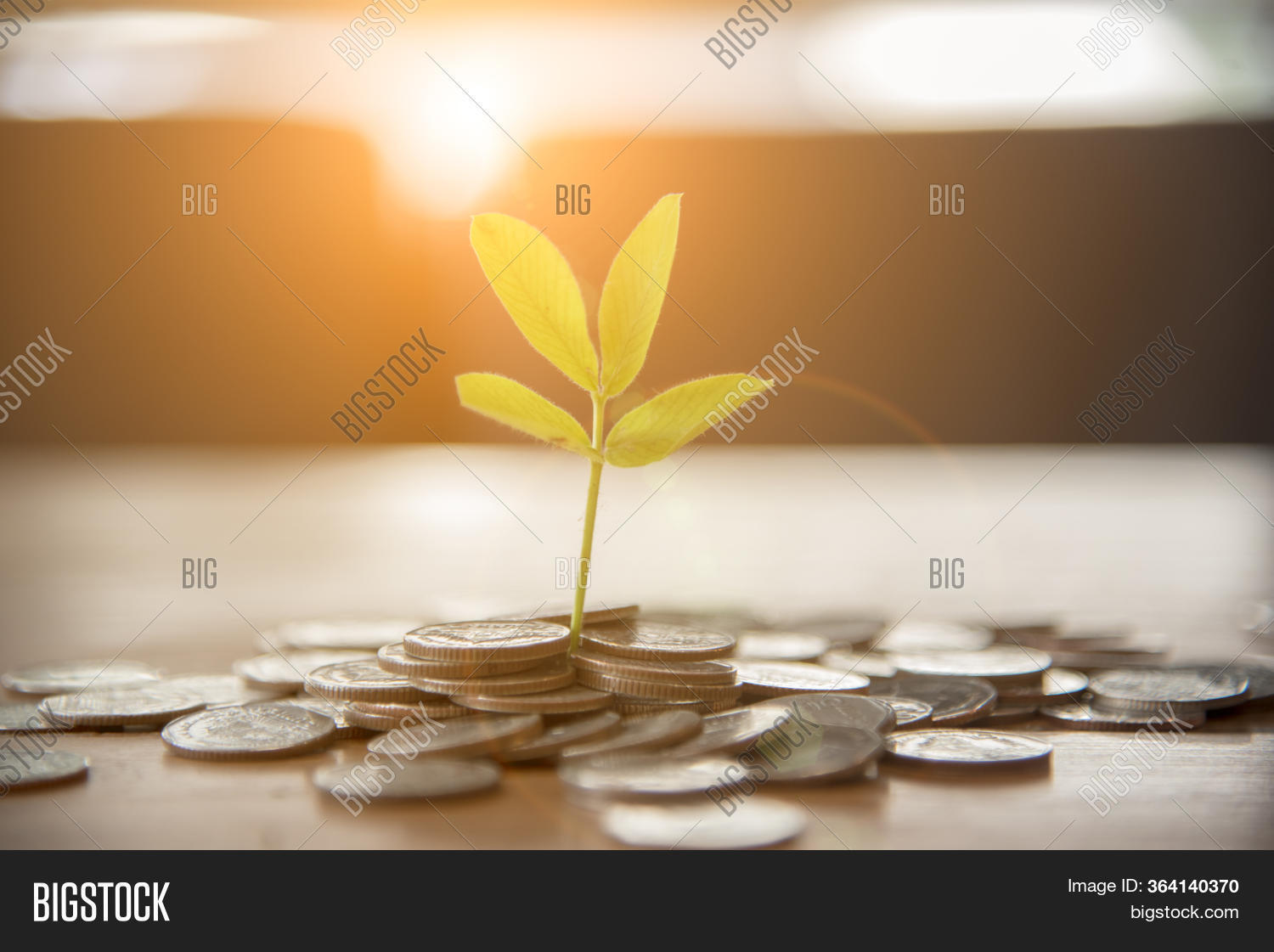 can you buy property with cash