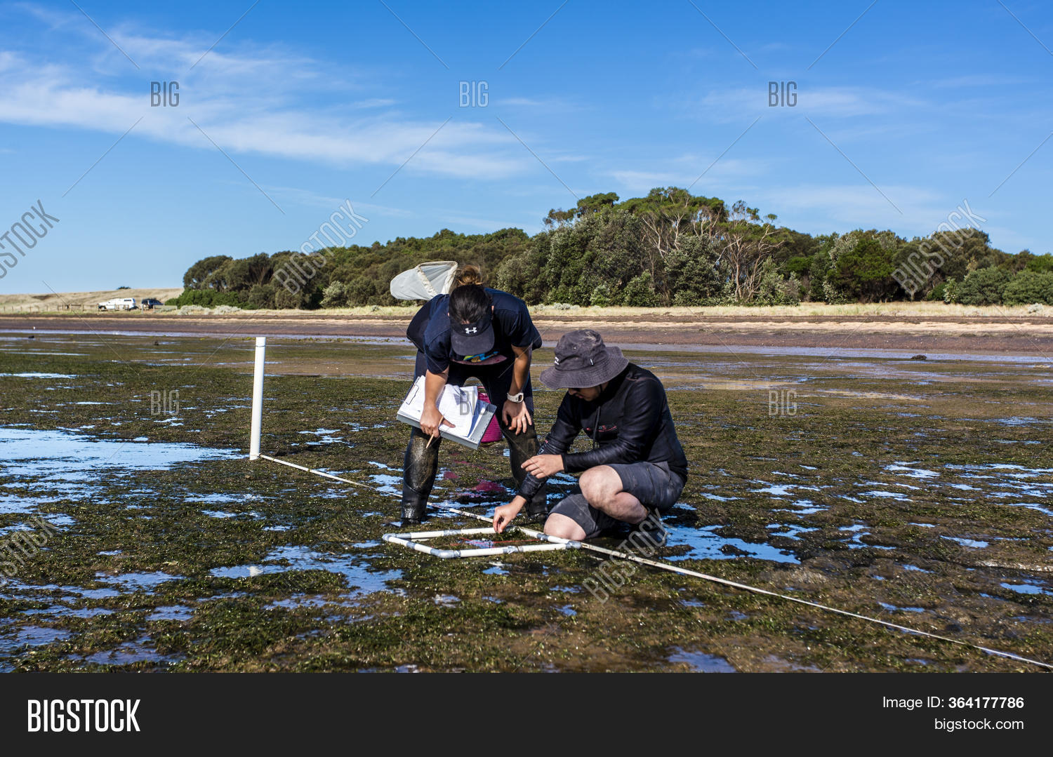 Bay, Victoria/ Image & Photo (Free Trial) Bigstock
