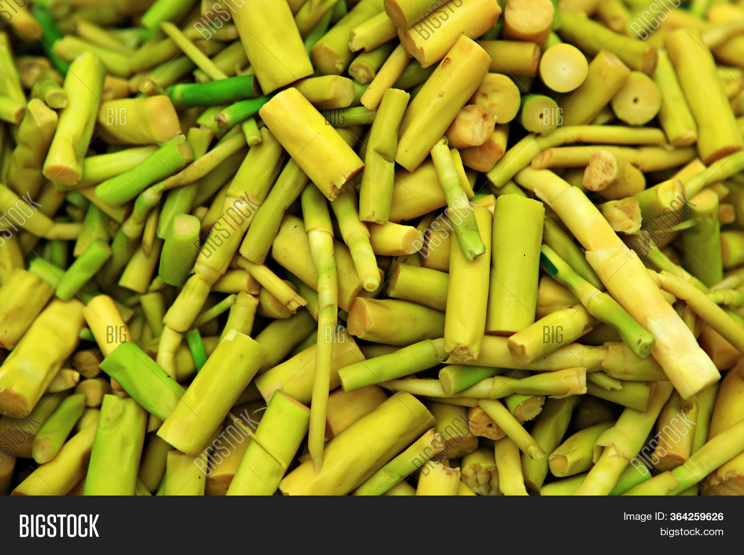 Bamboo Shoots Dangerous at Jasmine Parker blog