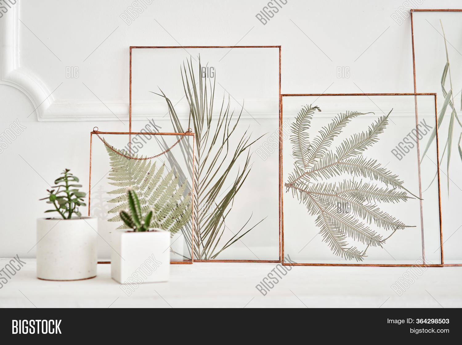 Picture Real Plants Image & Photo (Free Trial) Bigstock