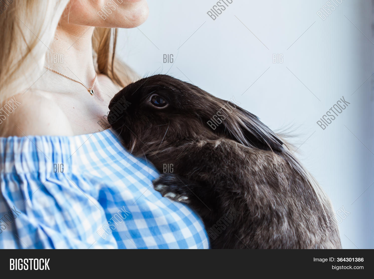 Pet And Easter Concept - Attractive Girl Hugging Brown Rabbit At Home, Clos...