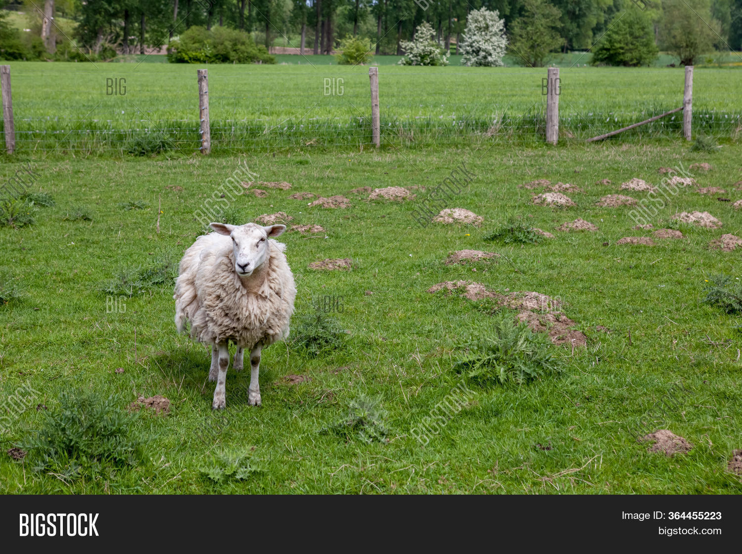 This Landscape Farm Image & Photo (Free Trial) | Bigstock