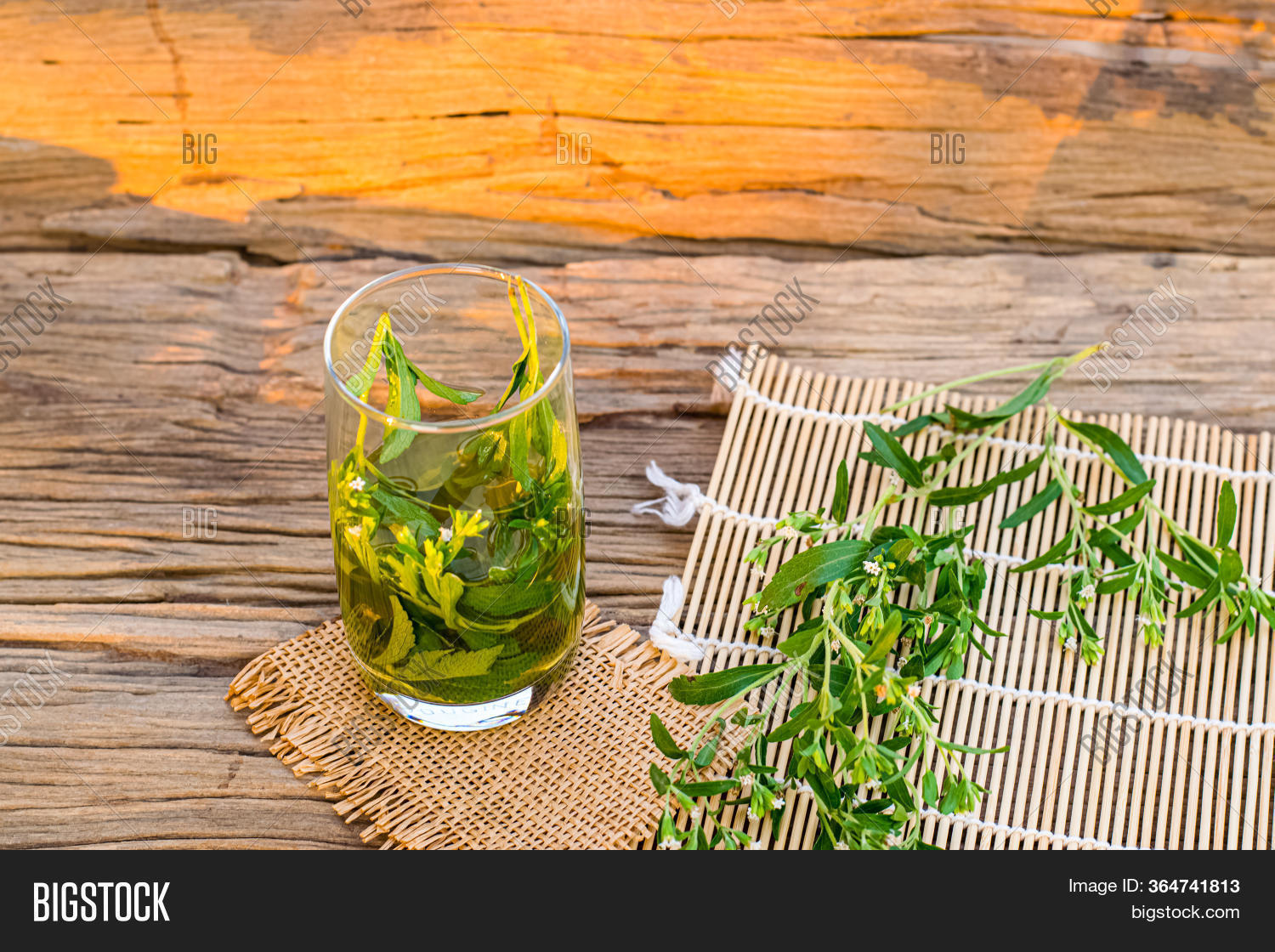 Stevia Tea Glass Image & Photo (Free Trial) Bigstock