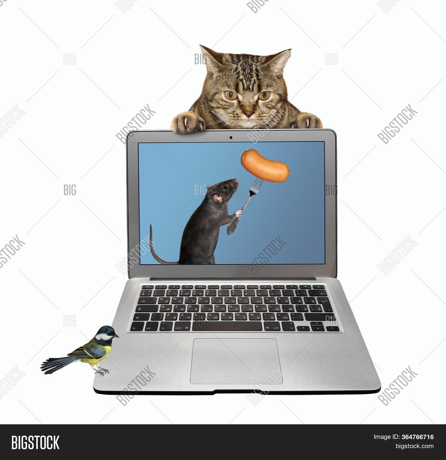 Black Rat Coming Out Image & Photo (Free Trial) Bigstock