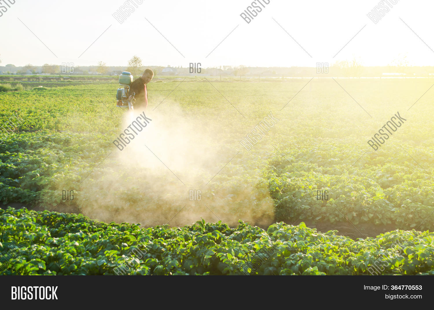 Farmer Sprays Potato Image & Photo (Free Trial) Bigstock
