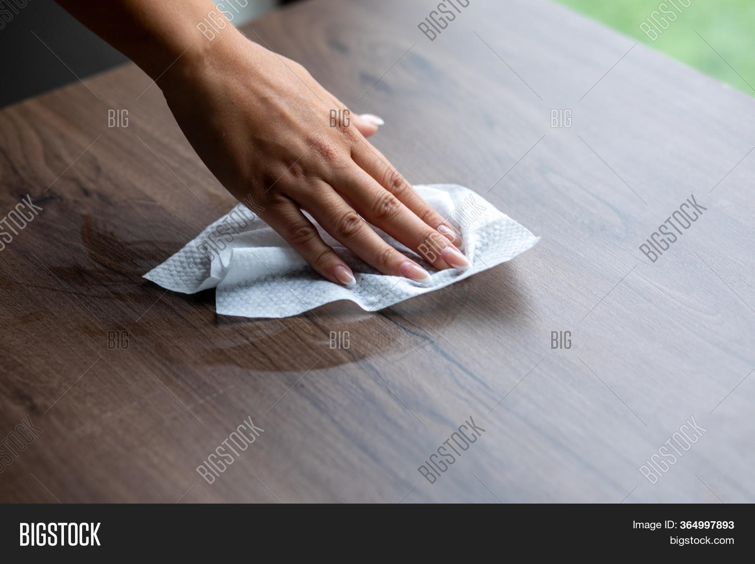 Woman's Hand Cleaning Image & Photo (Free Trial) Bigstock