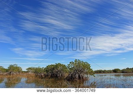Feathery High Altitude Cloudscape Over Nine Mile Pond In Everglades National Park, Florida On Sunny 