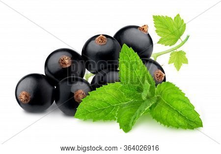 Composition With Blackcurrant And Sprig Of Mint Isolated On A White Background