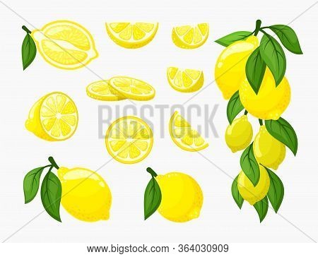 Set Of Lemons. Illustration Of Yellow Citrus Fresh Juicy, A Bunch Of Ripe Lemon On A Branch With Lea