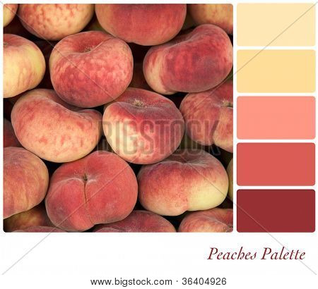Pêssegos fundo cor paleta com amostras gratuitas.