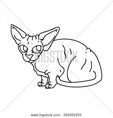 Cute Cartoon Monochrome Sphynx Kitten Vector Clipart. Pedigree Exotic Kitty Breed For Cat Lovers. Pu