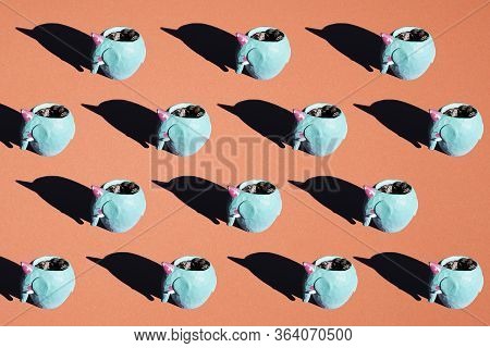 Floral Hipster Pattern On Colorful Orange Background. Succulents