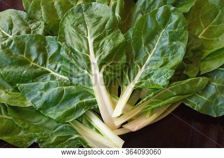 Balkan Cuisine. Blitva ( Chard Leaves ) - Popular Leafy Vegetables