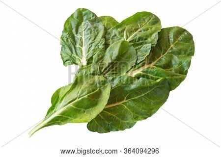 Balkan Cuisine. Blitva ( Chard Leaves ) - Popular Leafy Vegetables. Isolated On White Background