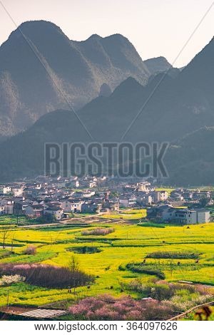 Rapeseed Flower Field And Villages At Wanfenglin  National Geological Park (forest Of Ten Thousands