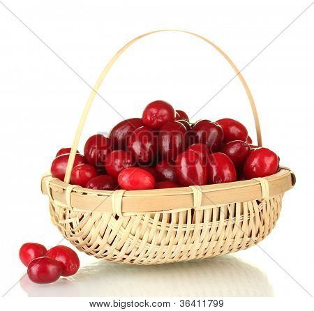 cornel fresche bacche in wickerbasket isolata on white