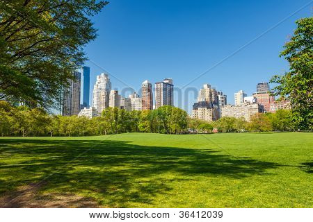 Central park a New York City, giornata di sole