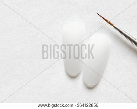 Learning To Draw On Nail Tips Concept. Clean Nail Tips And Paint Brush For Manicure On White Backgro