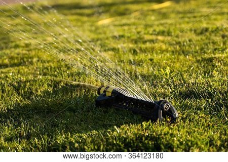 Lawn Sprinkler Spraying Water Over Green Grass. Modern Device Of Irrigation Garden Grass. Irrigation