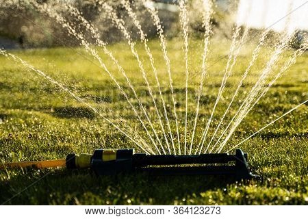 Lawn Sprinkler Spraying Water Over Green Grass. Modern Device Of Irrigation Garden Grass. Irrigation