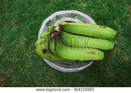 Top View Of Plantain Or Green Banana (musa Paradisiaca) On A Transparent Plate Bacground Of House La