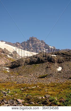 Brown Field In Alpine Meadow In Montana Wilderness