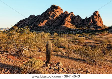 Papago Parkı