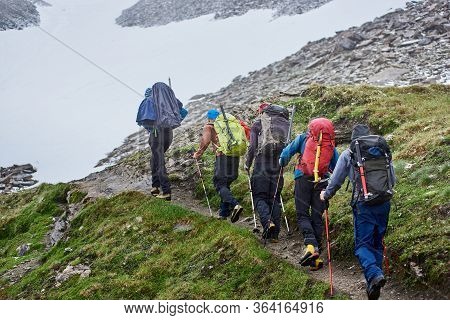 Back View Of Hikers With Backpacks Following Trails While Hiking Long Distance In Mountains. Male Fr