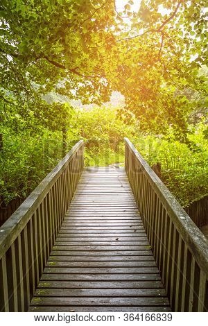 Wooden Bridge On A Hiking Path Through The Forest In Northern Germany