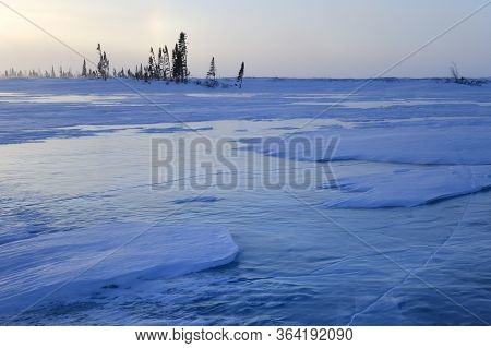 Frozen Lake With Boreal Forest (taiga) And Tundra In Background At Wapusk National Park, Canada, Dur
