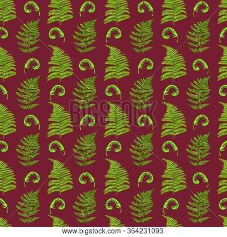 Watercolor Green Fern Leaves Seamless Pattern. Hand Painted Forest Plant Polypodiopsida Texture On D