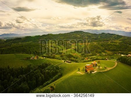 Austria Vineyards Landscape. Leibnitz Area In South Styria, Wine Country. Tuscany Like Place And Fam