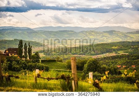 Landscape Of Vineyard Hills. Leibnitz Area In South Styria, Wine Country. Tuscany Like Place And Fam