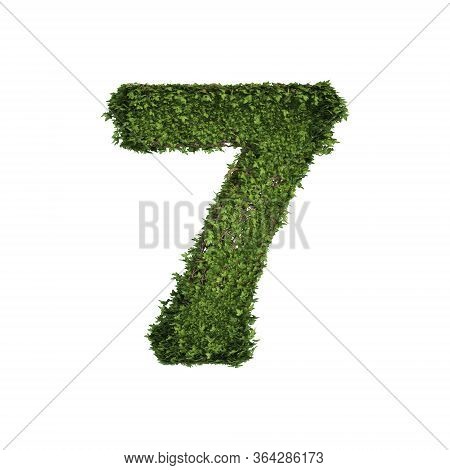Ivy Plant With Leaves, Green Creeper Bush And Vines Forming Number Seven, 7, Alphabet Text Font Char