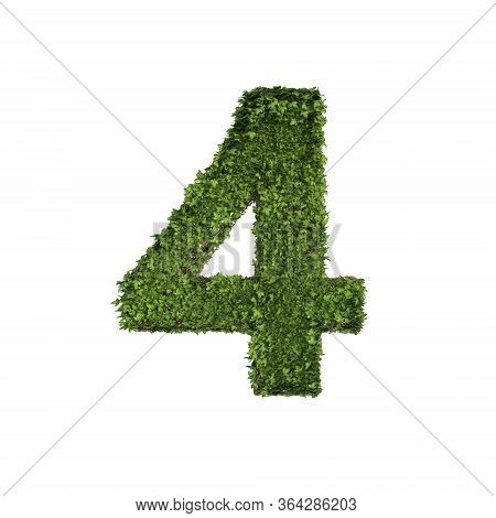 Ivy Plant With Leaves, Green Creeper Bush And Vines Forming Number Four, 4, Alphabet Text Font Chara