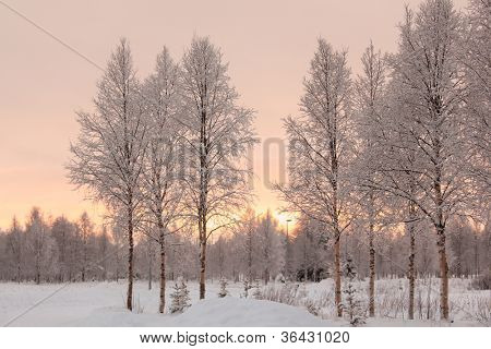 Winterlandschaft in Kuusamo, Finnland