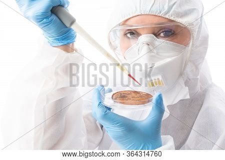 Scientist Researchinng Biosecurity Pandemic In Humans Or Agriculture Such As Covid-19 Or Other Infec
