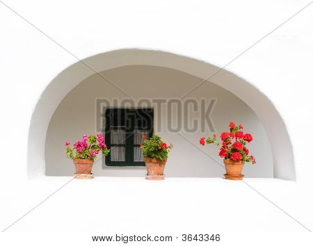 Flowers In The Window