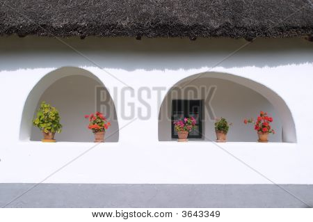 Flowers In The Window