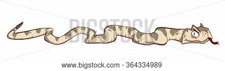 Colorful Vector Illustrationof A Cartoon Venomous Rattle Snake
