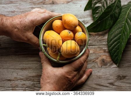 Ripe Medlar Fruit, Eriobotrya Japonica, And Green Medlar Leaves On Wooden Table.mans Hands Holding C