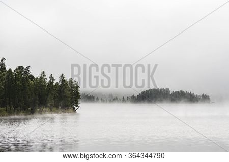 Fog-covered Forest On The Shore Of A Mountain Lake In The Ulagansky District Of The Altai Republic, 