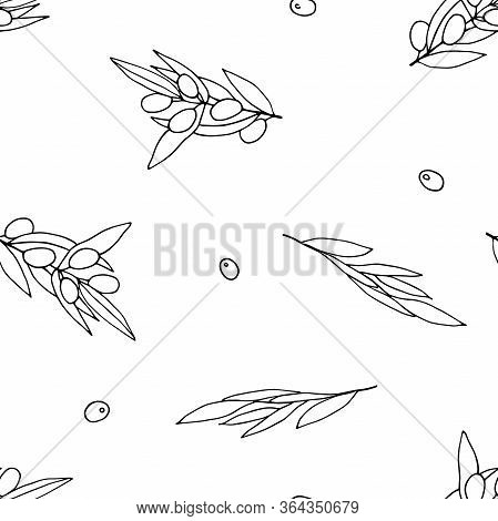 Seamless Black And White Pattern Olives. Outline Olive Branches Isolated On White Background. Random