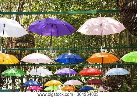 Colorful Umbrella Hanging On Tree Outdoor At Garden For Travelers Thai And Foreigners People Visit T
