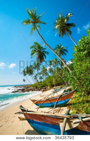 ริมชายหาดขาวละเอียดกับปาล์มและเรือประมงในประเทศศรีลังกา