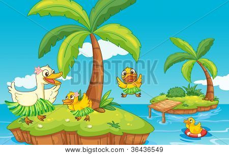 bir ördek ve ducklings Adası'nda gösterimi